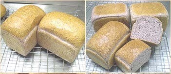 ขนมปังข้าวสาลีม่วงและข้าวโพด